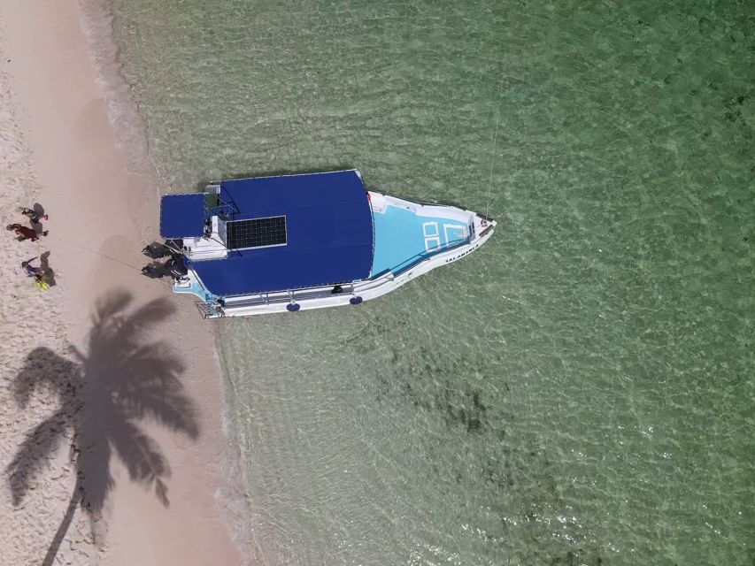 From La Romana: Saona Island for Aida Cruises Passengers - Natural pool with starfish: the shallow-water finale