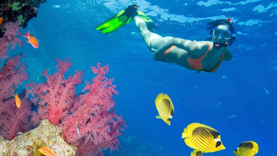 From Punta Cana: Catalina Island Swim, Sail & Snorkel - The Chavon River sail: the scenic break that makes the trip worth it