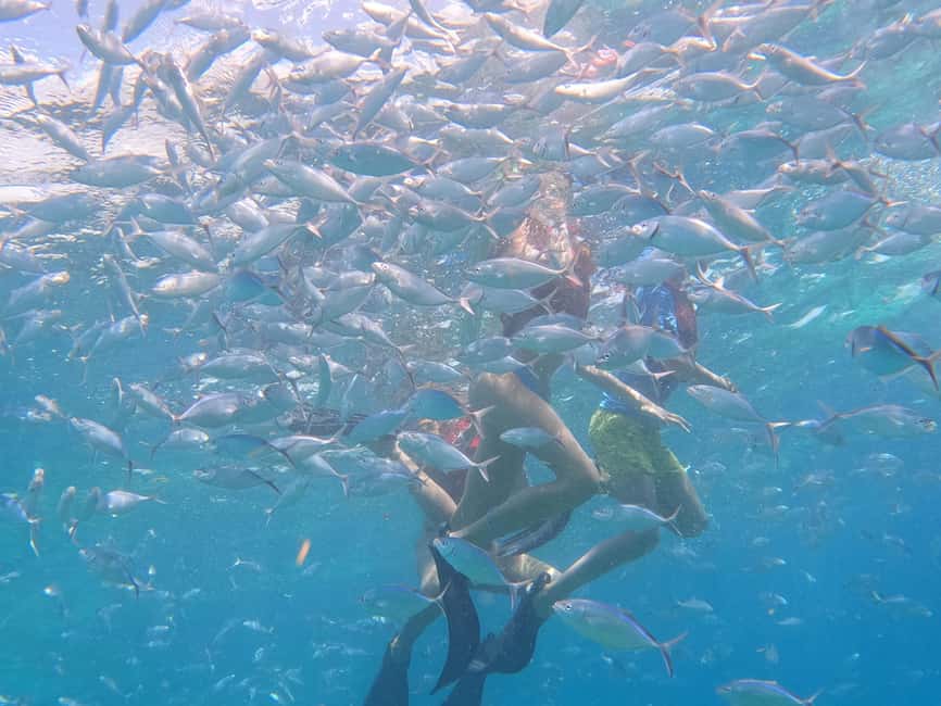 From Punta Cana: Catalina Island Swim, Sail & Snorkel - The live bachata and merengue moment: fun, interactive, and easy to join