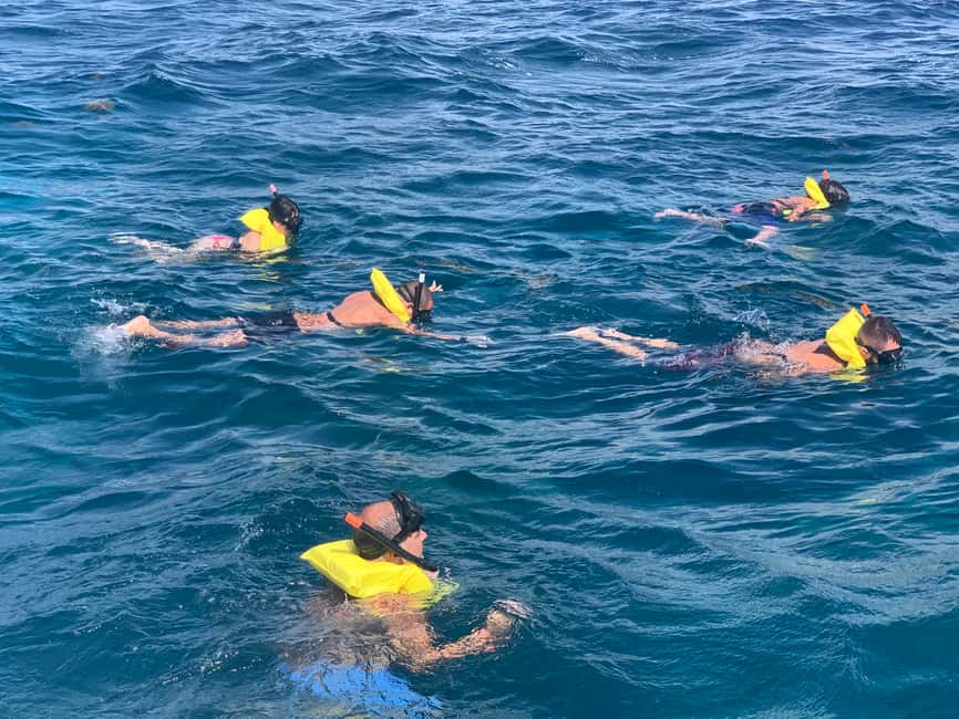 From Punta Cana: Catalina Island Swim, Sail & Snorkel - Price and value check: is $79 a fair deal?