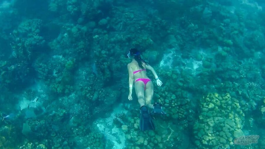 From Punta Cana: Catalina Snorkeling & Altos de Chavon Tour - From Punta Cana to La Romana, then out by speedboat