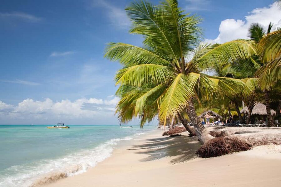 From Punta Cana: Catamaran Tour to Saona Island with Open Bar and Buffet - Key things that make this Saona trip worth it