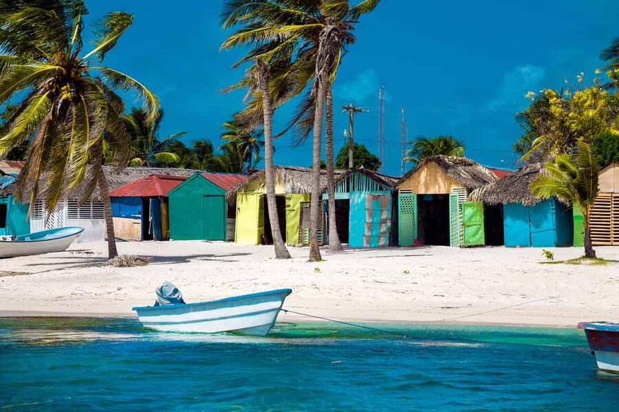 From Punta Cana: Catamaran Tour to Saona Island with Open Bar and Buffet - Largest Natural Pool in the Caribbean: Warm Sandbar Water and Starfish Rules