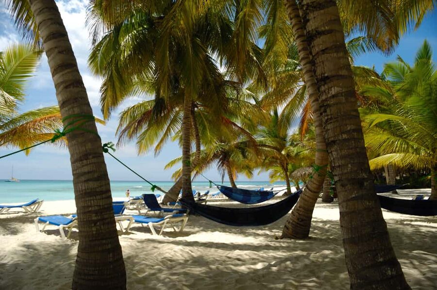 From Punta Cana: Catamaran Tour to Saona Island with Open Bar and Buffet - Price and Value: Is $81 a Smart Way to Spend a Day?