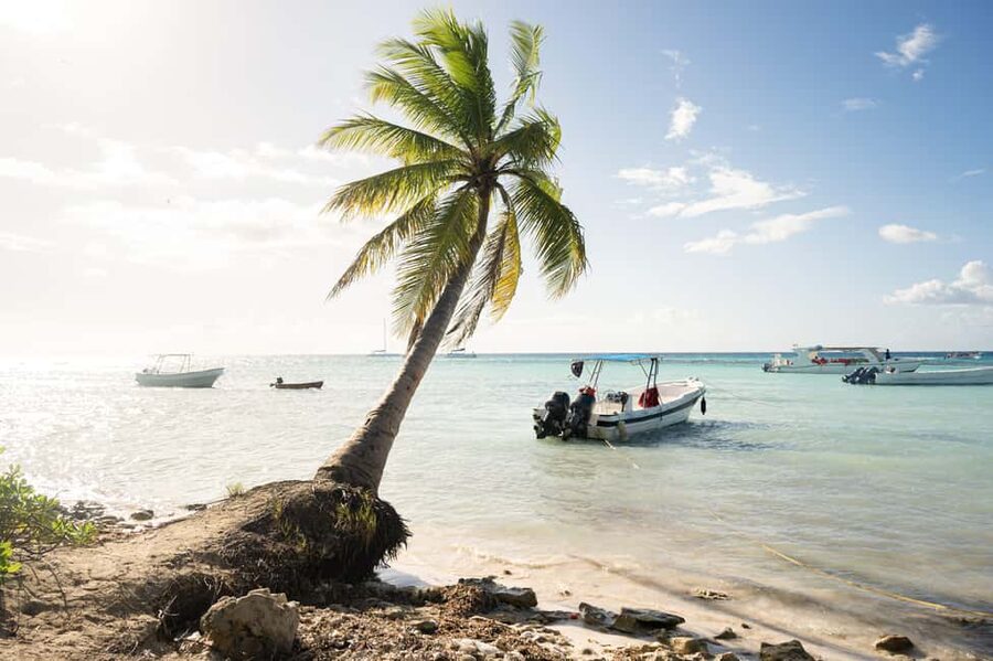 From Punta Cana: Catamaran Tour to Saona Island with Open Bar and Buffet - Getting to Bayahibe: The Early Start that Sets You Up
