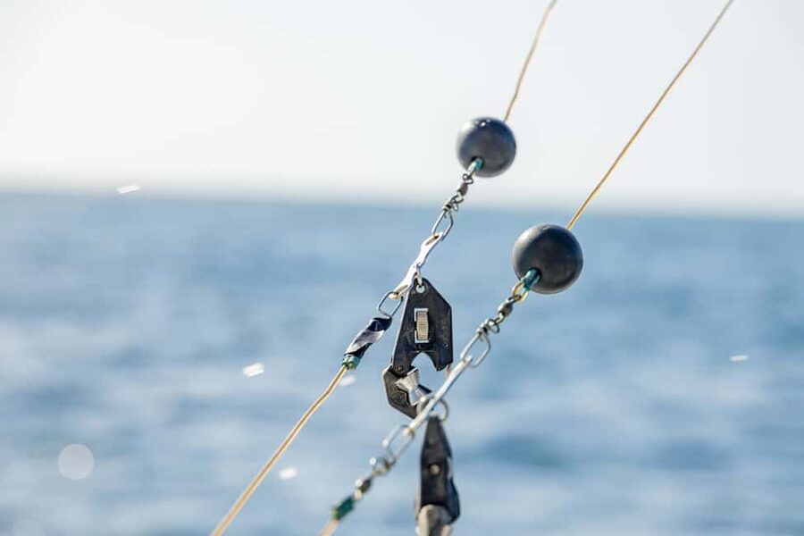 From Punta Cana: Deep Sea Fishing Tour by Boat with Drinks - Leaving Punta Cana for Monte Plata waters: what the 4 hour format gives you