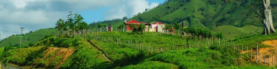 From Punta Cana: Higüey Guided Safari Tour - Typical Dominican lunch, then crafts and cigars up close