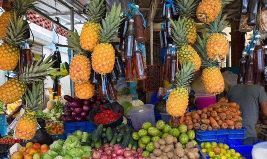 From Punta Cana: History and Culture Tour with River Swim - Key highlights to expect