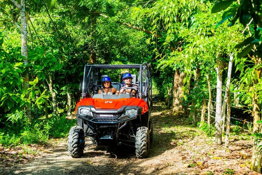 From Punta Cana: Jungle Buggy Adventure to Anamuya River - The jungle track: what to expect from the 4x4 terrain