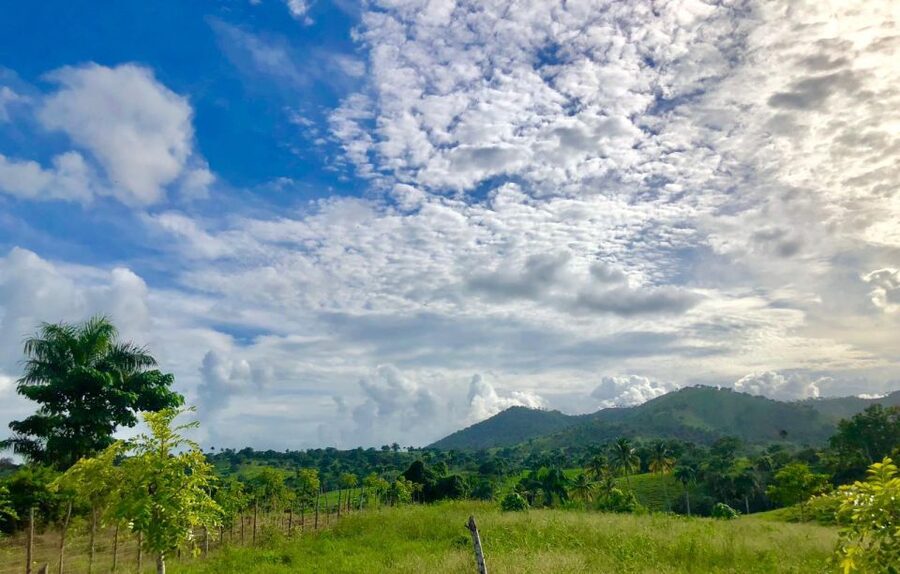 From Punta Cana: Jungle Buggy Adventure to Anamuya River - Who should book this buggy adventure
