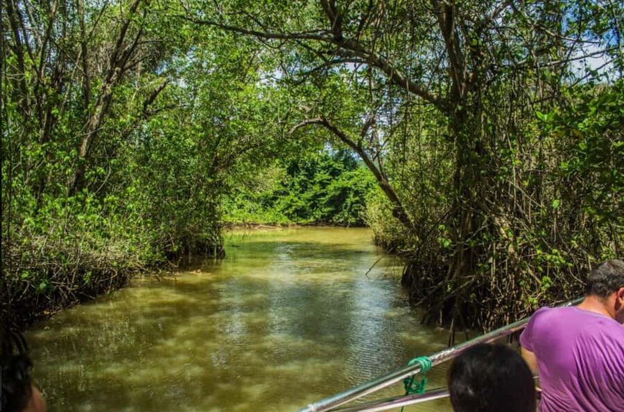 From Punta Cana: Los Haitises Guided Day Tour - Up to Montaña Redonda: the jeep ride and the two lagoon views