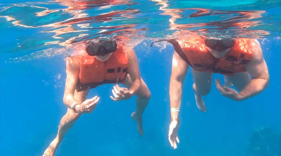 From Punta Cana or Bayahibe: Catalina Island with Snorkeling - Catalina Island From Punta Cana: the day-trip concept that actually works