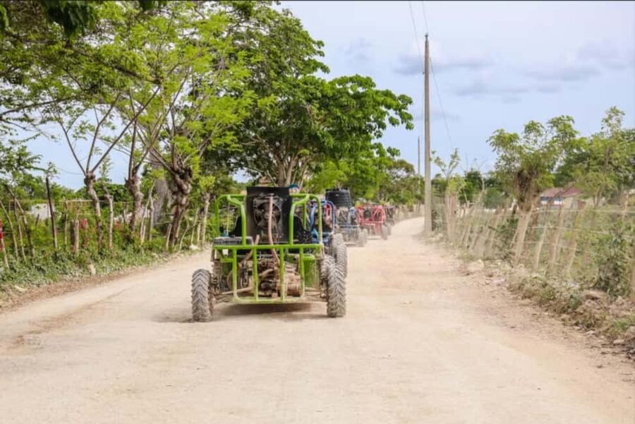 From Punta Cana or La Romana: Sugarcane Fields Buggy or Quad - Sugarcane Stops, Village Vibes, and Why Those Small Moments Matter