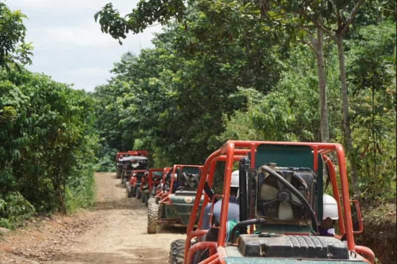 From Punta Cana or La Romana: Sugarcane Fields Buggy or Quad - Captain Coco Ecotours: The Part That Makes or Breaks the Day