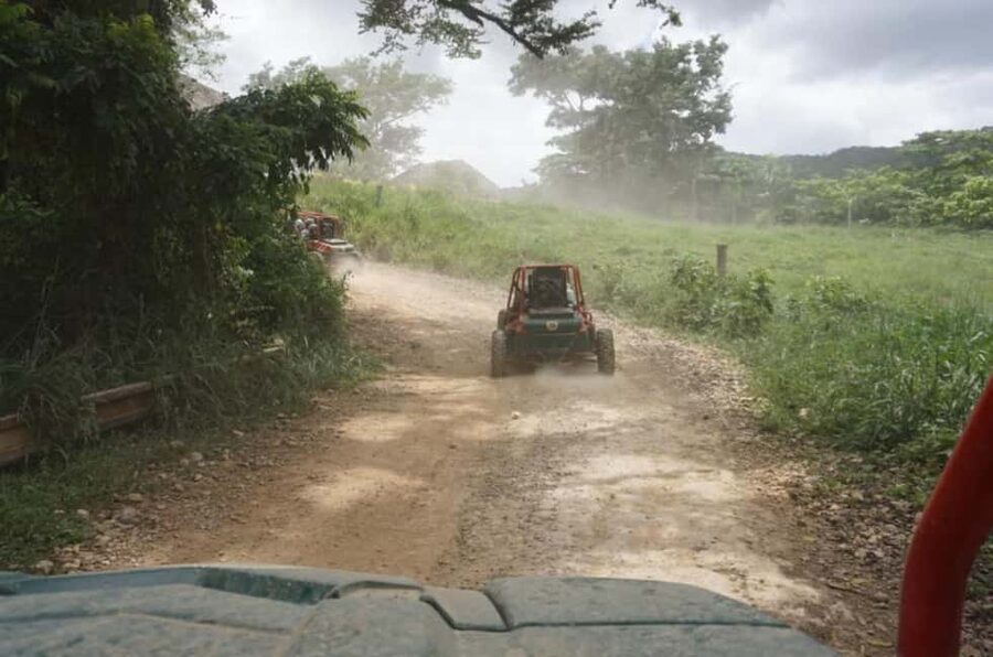 From Punta Cana or La Romana: Sugarcane Fields Buggy or Quad - The Chavón River Swim, Cool Off Without the Resort Script