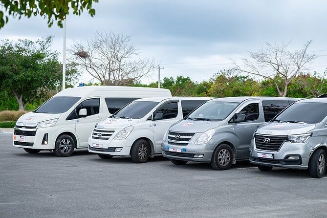 From Punta Cana Private Airport (PUJ) Shuttle To Hotel - The Minivan Size, Comfort, and Luggage Setup