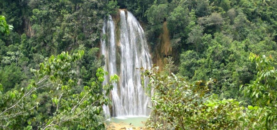 From Punta Cana: Samaná, Cayo Levantado & El Limón Waterfall - Potential Problems to Watch For: Pickup Timing and Communication