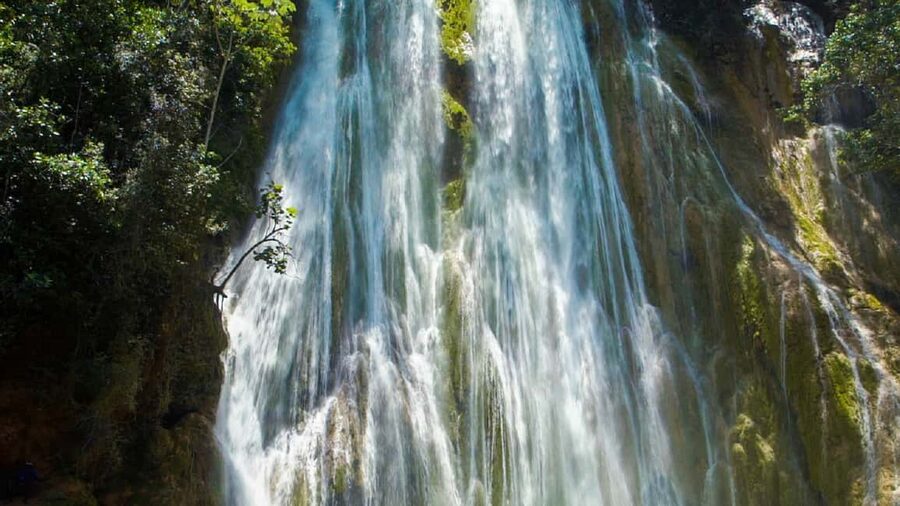 From Punta Cana: Samana Full Day Trip by Bus and Boat - From Punta Cana to Miches: the day’s travel rhythm