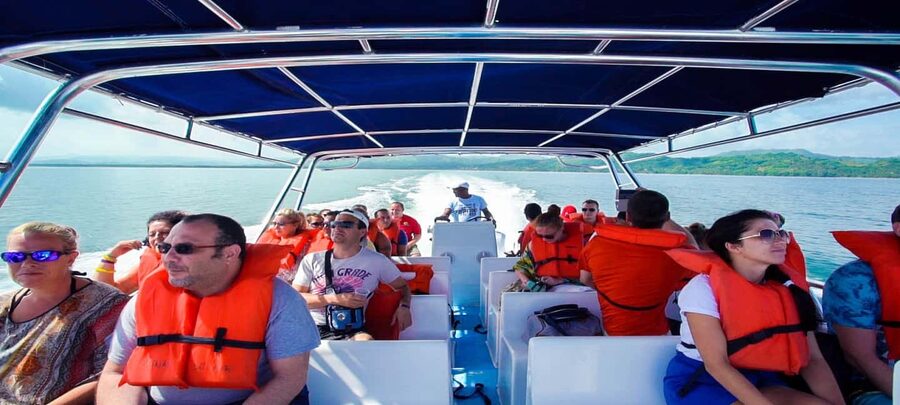From Punta Cana: Samana Full Day Trip by Bus and Boat - Price and value: does $135 hold up for a full day?