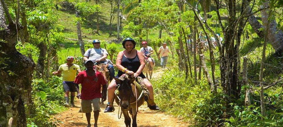 From Punta Cana: Samana Full Day Trip by Bus and Boat - Comfort, fitness, and animal-welfare reality check