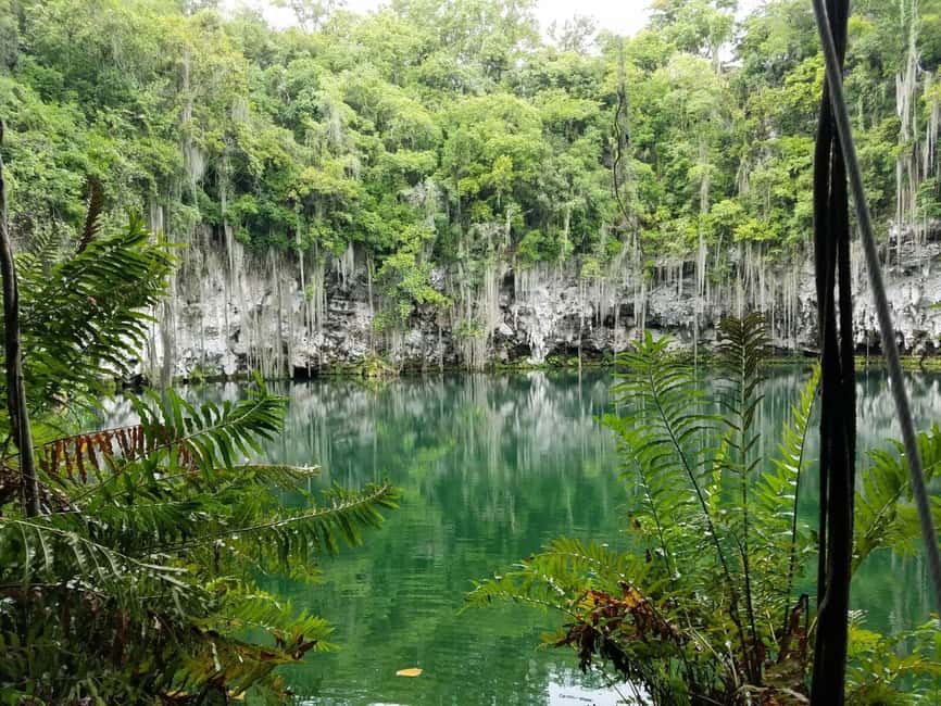 From Punta Cana: Santo Domingo Full-Day Tour with Lunch - Los Tres Ojos National Park and its cenotes: what you do