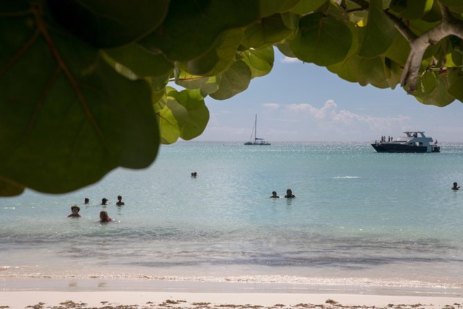 From Punta Cana: Saona Island & Altos de Chavon Day Trip with Lunch and Open Bar - Crowds, chairs, and why the day can feel long