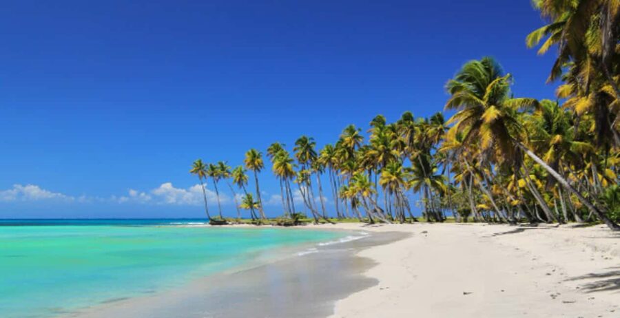 From Punta Cana: Saona Island Boat Trip with Buffet - Catamaran or speedboat: comfort versus time on the water