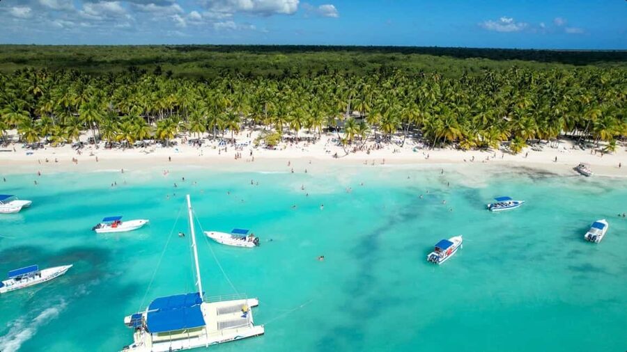 From Punta Cana: Saona Island Day Trip with Buffet Lunch - Key highlights to know before you go