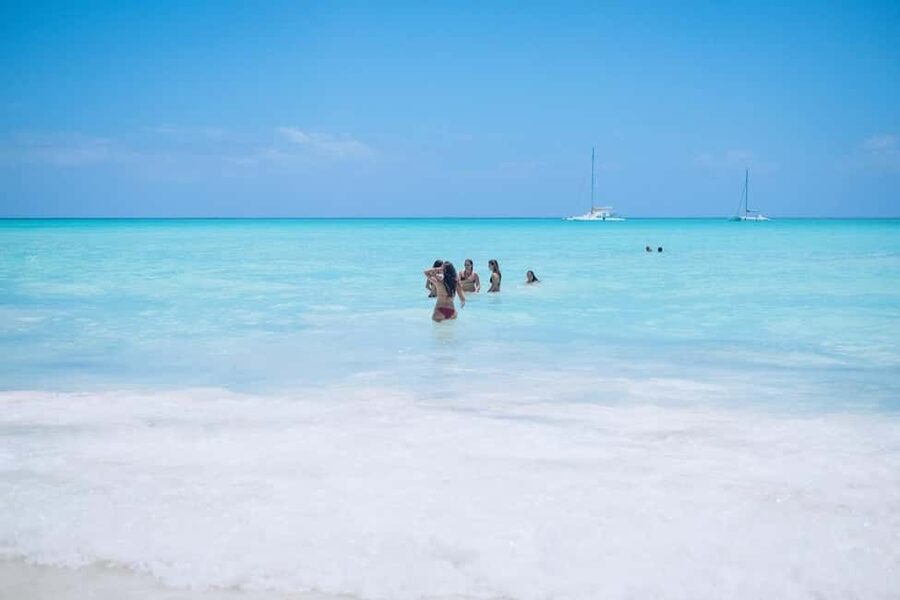 From Punta Cana: Saona Island Day Trip with Buffet Lunch - The Palmilla and park walk: mangroves, coral reefs, and yellow sand