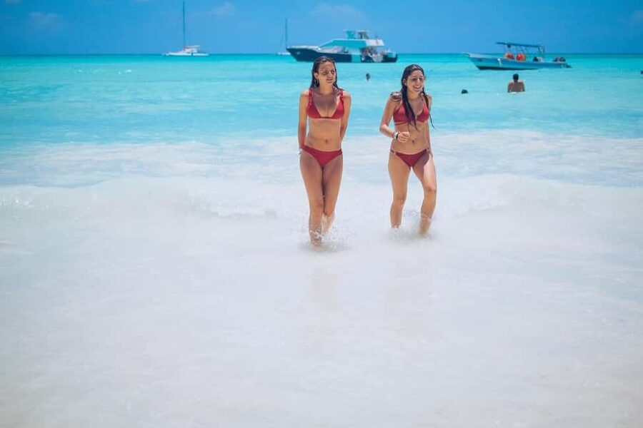 From Punta Cana: Saona Island Day Trip with Buffet Lunch - Price and value at $65: what you really get for the money