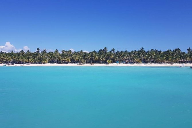 From Punta Cana: Saona Island Full Day For Small Group Catamaran - The natural pool stop: clear water and starfish if you catch the moment