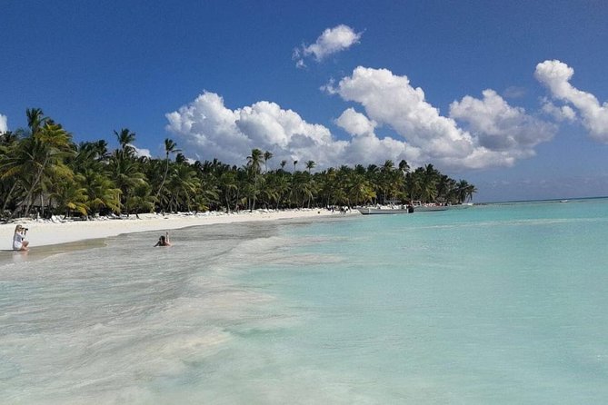 From Punta Cana: Saona Island Full Day For Small Group Catamaran - Lunch and open bar: comfort, not gourmet