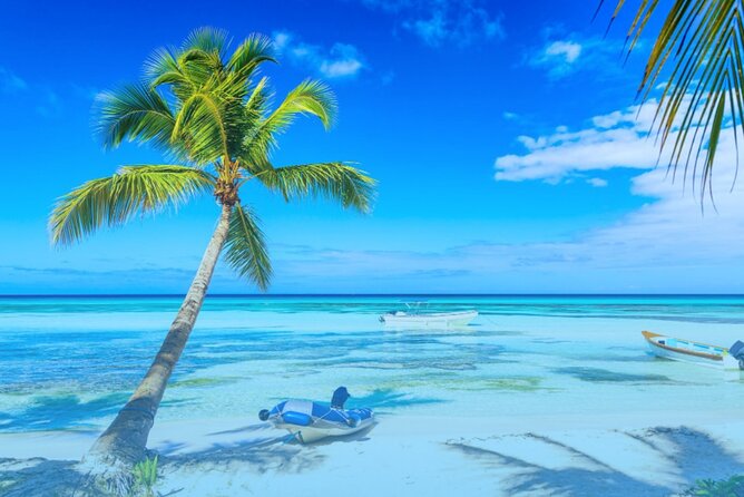 From Punta Cana: Saona Island Full Day For Small Group Catamaran - Price and value: is $78 a fair deal?