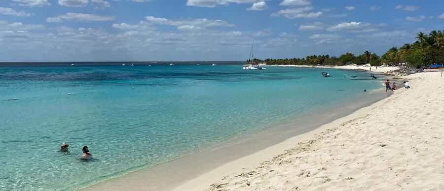 From Punta Cana: Saona Island Full-Day Tour with Lunch - Key Things That Make This Saona Tour Worth Your Day