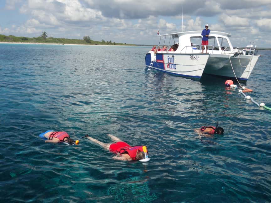 From Punta Cana: Saona Island Full-Day Tour with Lunch - Morning Transfer From Punta Cana to Bayahibe Port