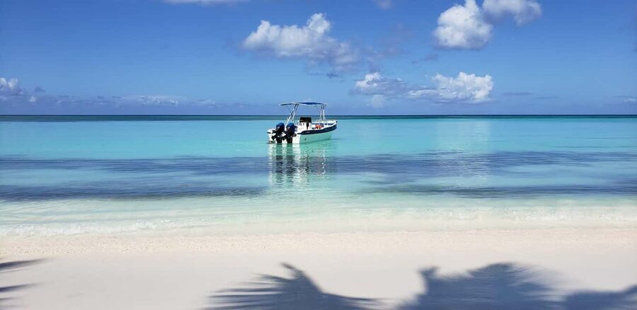 From Punta Cana: Saona Island Full-Day Tour with Lunch - Price and Value at $73 for a Full 10 Hours