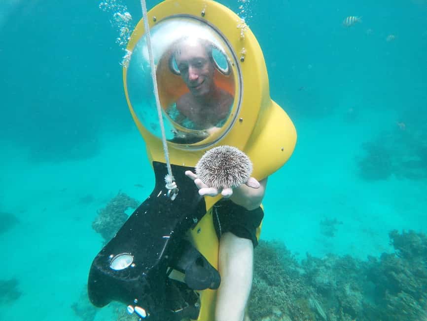 From Punta Cana: ScubaDoo, Snorkel & Glass Bottom Boat Tour - Small risks to factor in before you book