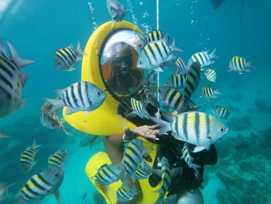 From Punta Cana: ScubaDoo, Snorkel & Glass Bottom Boat Tour - Snorkeling at El Niño: coral and fish without the stress