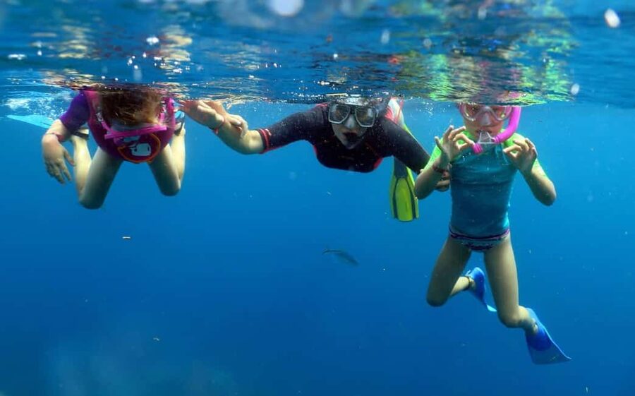 From Punta Cana: Small Group Catalina Island Snorkeling Tour - Key things to know before you go