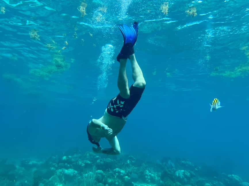 From Punta Cana: Small Group Catalina Island Snorkeling Tour - Should you book it or skip it