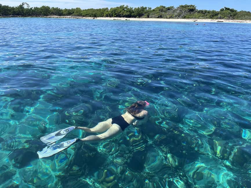 From Punta Cana: Small Group Catalina Island Snorkeling Tour - How safe and comfortable the day feels on a 45-foot boat