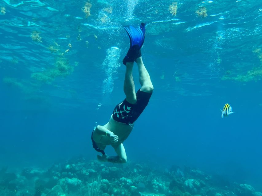 From Punta Cana: Small Group Catalina Island Snorkeling Tour - Value and price: is $128 a fair trade for this full day?