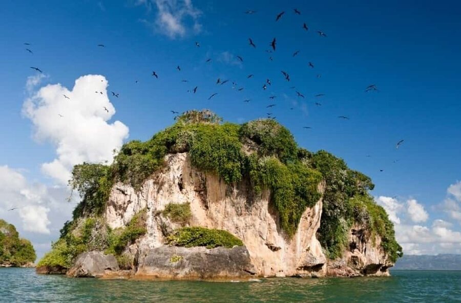 From Samana: Los Haitises Boat and Walking Tour with Lunch - Quick hits before you book