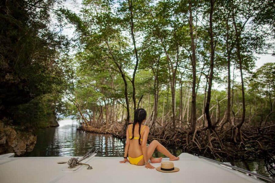 From Samana: Los Haitises Hike, Boat Trip, and Kayaking - Why Los Haitises Feels So Different From Typical Beach Days