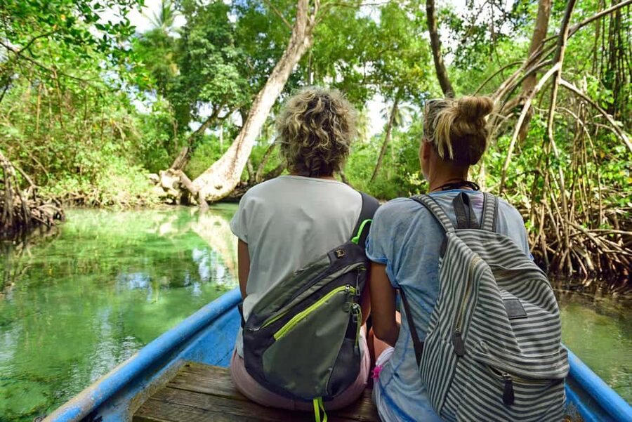 From Samana: Los Haitises Hike, Boat Trip, and Kayaking - From Samana Bay To the Jungle: The Hike That Sets the Tone