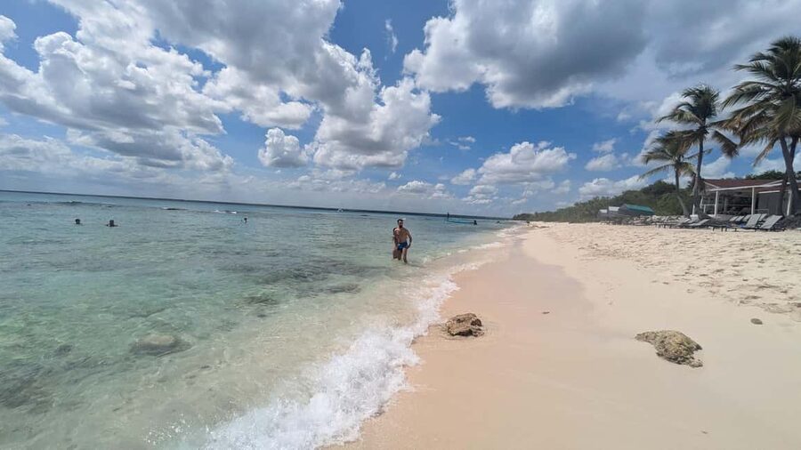 From Santo Domingo: Catalina Island Day Tour - Key points to know before you go
