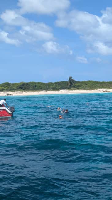 From Santo Domingo: Catalina Island Day Tour - Beach buffet lunch and open bar: included, but quality can vary