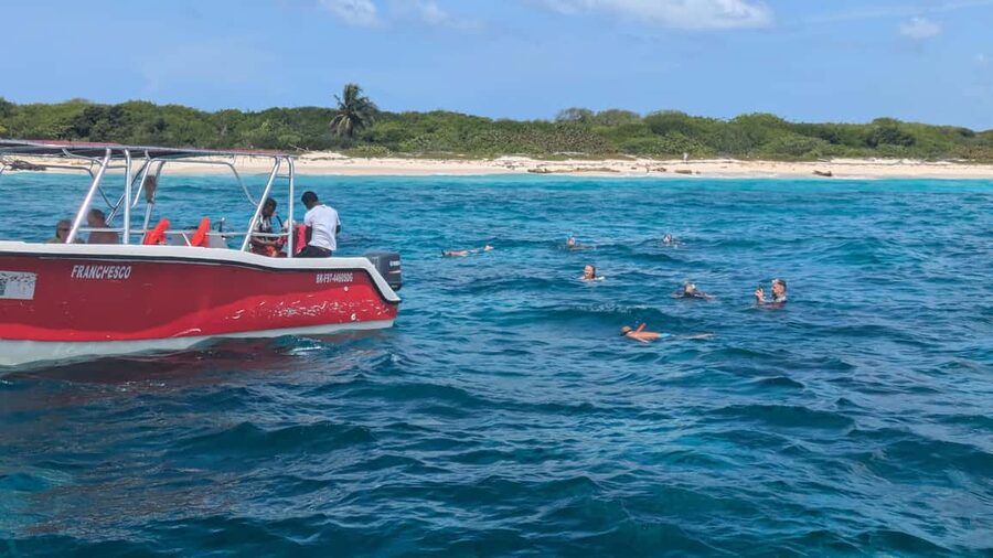 From Santo Domingo: Catalina Island Day Tour - Price and value at about $81: where the money goes