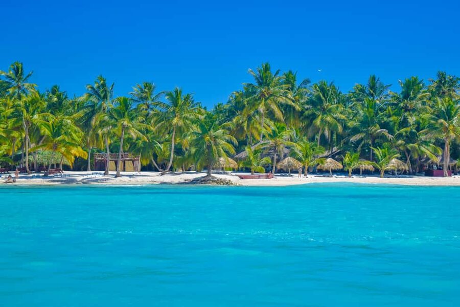 From Santo Domingo: Saona Island Day Trip w/ Lunch & Drinks - Should You Book This Saona Island Day Trip?