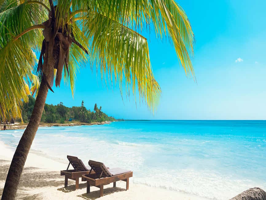 From Santo Domingo: Saona Island Day Trip with Lunch - Price and Value: Is $110 Per Person Worth It?